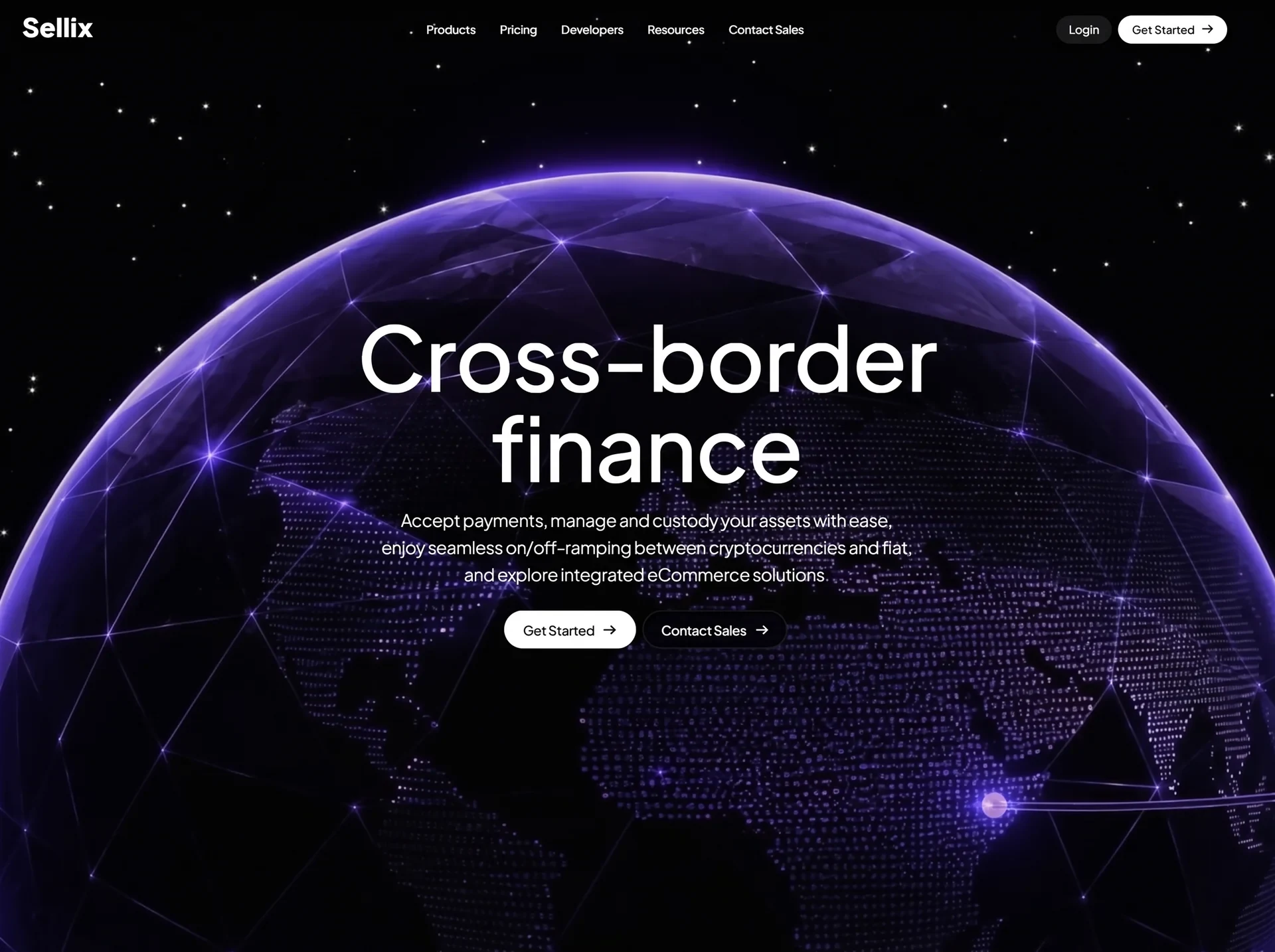 Sellix 金融科技首屏 效果预览